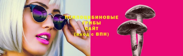 ПСИЛОЦИБИНОВЫЕ ГРИБЫ Нефтегорск