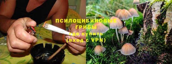 ПСИЛОЦИБИНОВЫЕ ГРИБЫ Нефтегорск
