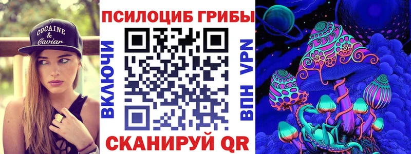 Псилоцибиновые грибы мицелий  Катайск 